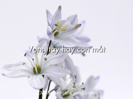 Vụng tay hay con mắt