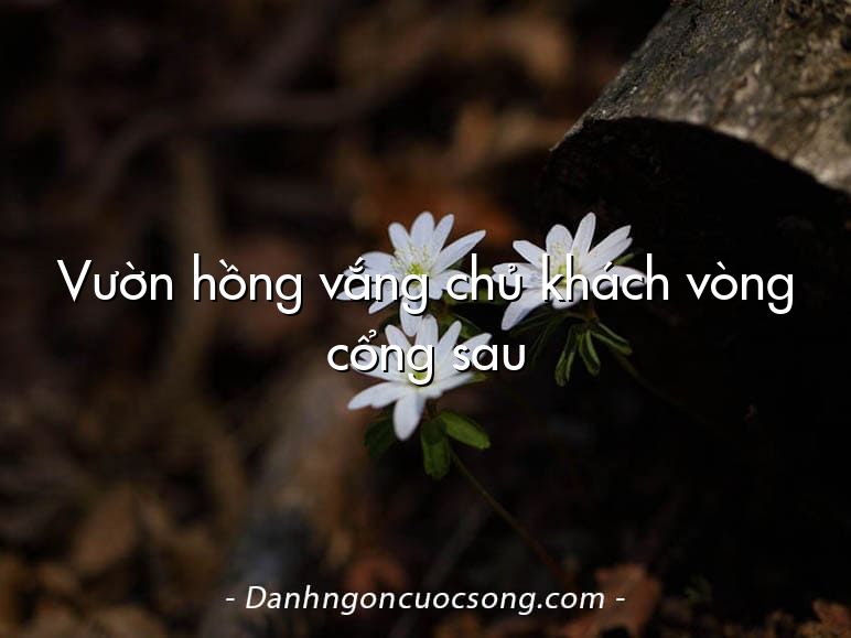 Vườn hồng vắng chủ khách vòng cổng sau