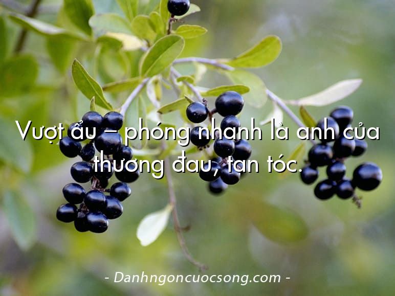 Vượt ẩu – phóng nhanh là anh của thương đau, tan tóc.