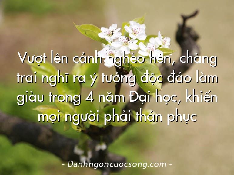 Vượt lên cảnh nghèo hèn, chàng trai nghĩ ra ý tưởng độc đáo làm giàu trong 4 năm Đại học, khiến mọi người phải thán phục