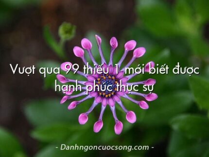 Vượt qua 99 thiếu 1 mới biết được hạnh phúc thực sự