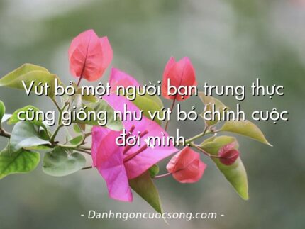 Vứt bỏ một người bạn trung thực cũng giống như vứt bỏ chính cuộc đời mình.