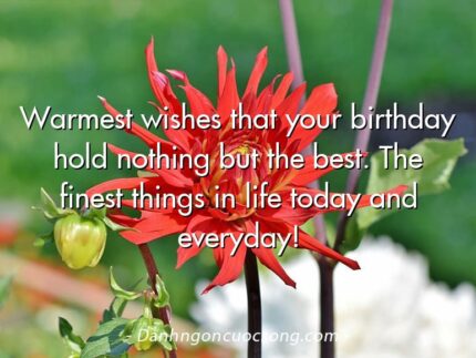 Warmest wishes that your birthday hold nothing but the best. The finest things in life today and everyday!