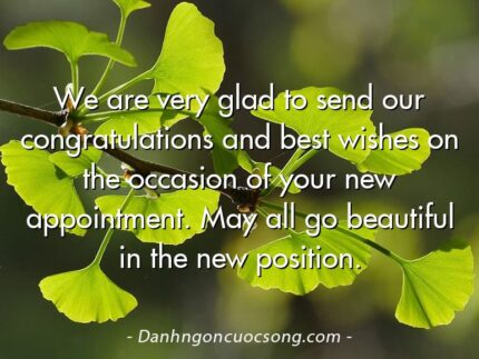 We are very glad to send our congratulations and best wishes on the occasion of your new appointment. May all go beautiful in the new position.