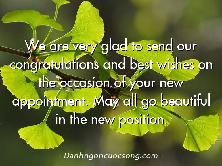 We are very glad to send our congratulations and best wishes on the occasion of your new appointment. May all go beautiful in the new position.