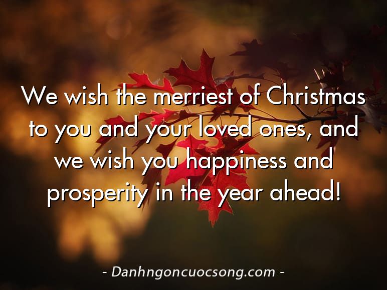 We wish the merriest of Christmas to you and your loved ones, and we wish you happiness and prosperity in the year ahead!