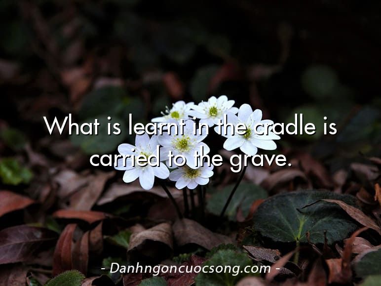 What is learnt in the cradle is carried to the grave.