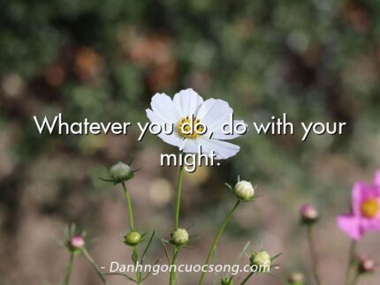 Whatever you do, do with your might.