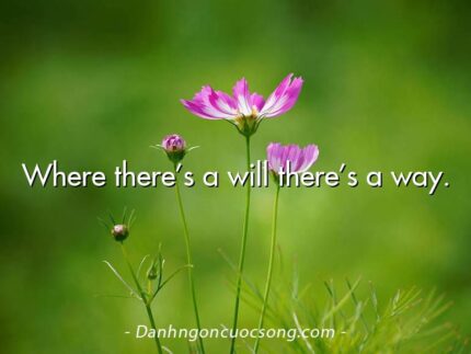 Where there’s a will there’s a way.