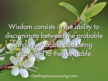 Wisdom consists in the ability to discriminate between the probable and improbable and being reconciled to the inevitable.
