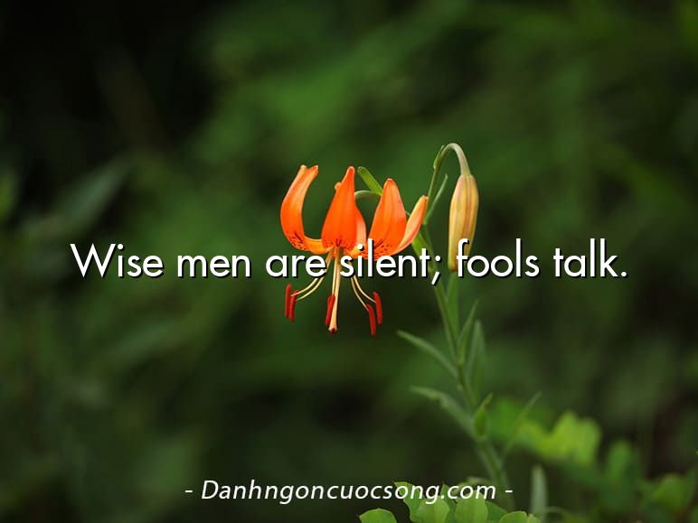 Wise men are silent; fools talk.