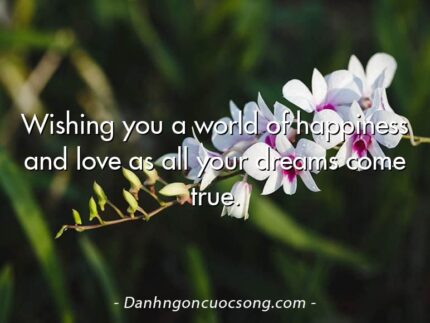 Wishing you a world of happiness and love as all your dreams come true.