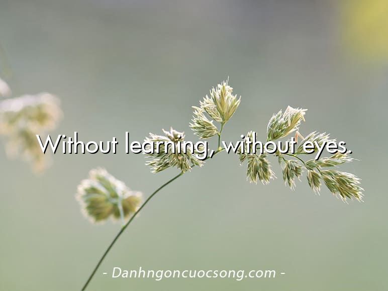Without learning, without eyes.