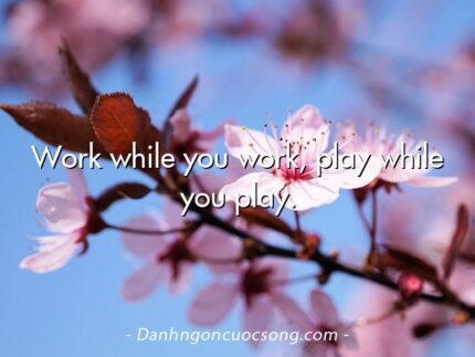 Work while you work, play while you play.