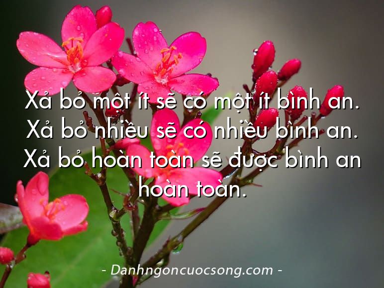 Xả bỏ một ít sẽ có một ít bình an. Xả bỏ nhiều sẽ có nhiều bình an. Xả bỏ hoàn toàn sẽ được bình an hoàn toàn.