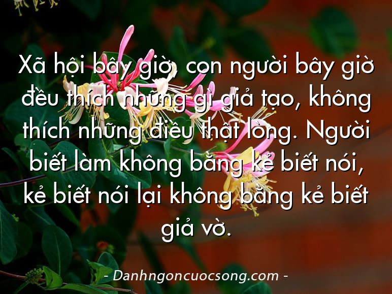 Xã hội bây giờ, con người bây giờ đều thích những gì giả tạo, không thích những điều thật lòng. Người biết làm không bằng kẻ biết nói, kẻ biết nói lại không bằng kẻ biết giả vờ.