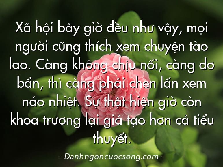 Xã hội bây giờ đều như vậy, mọi người cũng thích xem chuyện tào lao. Càng không chịu nổi, càng dơ bẩn, thì càng phải chen lấn xem náo nhiệt. Sự thật hiện giờ còn khoa trương lại giả tạo hơn cả tiểu thuyết.