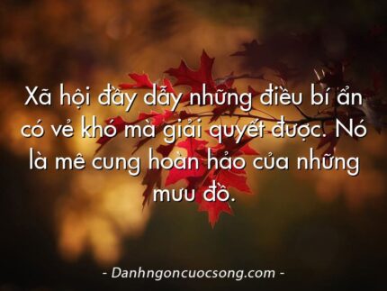 Xã hội đầy dẫy những điều bí ẩn có vẻ khó mà giải quyết được. Nó là mê cung hoàn hảo của những mưu đồ.