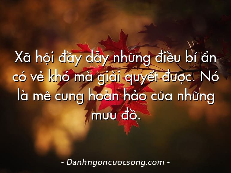Xã hội đầy dẫy những điều bí ẩn có vẻ khó mà giải quyết được. Nó là mê cung hoàn hảo của những mưu đồ.