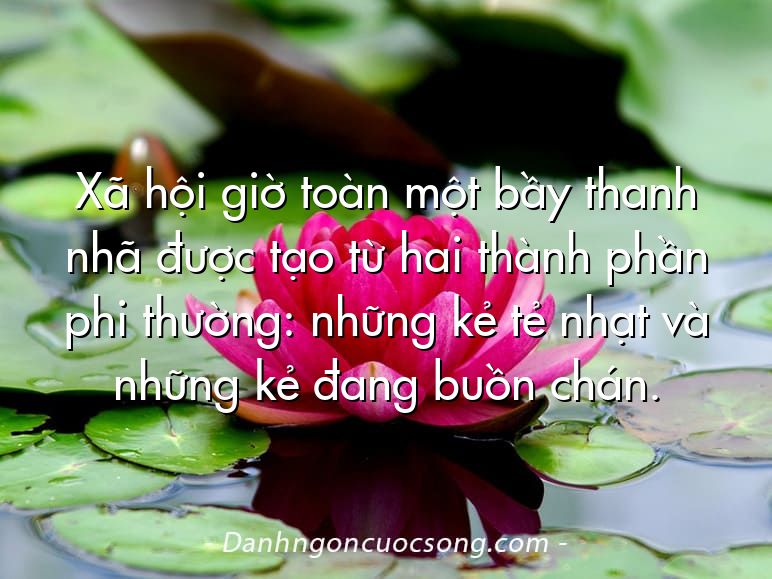 Xã hội giờ toàn một bầy thanh nhã được tạo từ hai thành phần phi thường: những kẻ tẻ nhạt và những kẻ đang buồn chán.