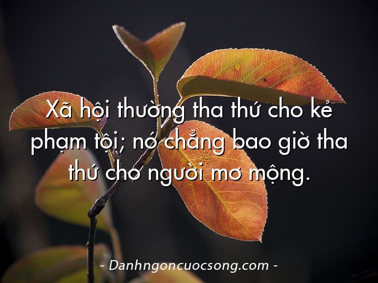 Xã hội thường tha thứ cho kẻ phạm tội; nó chẳng bao giờ tha thứ cho người mơ mộng.