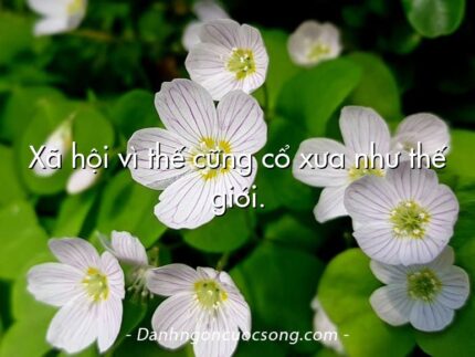 Xã hội vì thế cũng cổ xưa như thế giới.