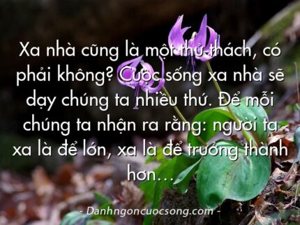 Xa nhà cũng là một thử thách, có phải không? Cuộc sống xa nhà sẽ dạy chúng ta nhiều thứ. Để mỗi chúng ta nhận ra rằng: người ta xa là để lớn, xa là để trưởng thành hơn…