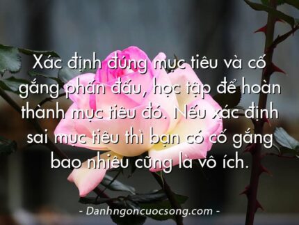 Xác định đúng mục tiêu và cố gắng phấn đấu, học tập để hoàn thành mục tiêu đó. Nếu xác định sai mục tiêu thì bạn có cố gắng bao nhiêu cũng là vô ích.