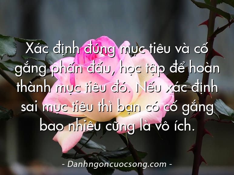 Xác định đúng mục tiêu và cố gắng phấn đấu, học tập để hoàn thành mục tiêu đó. Nếu xác định sai mục tiêu thì bạn có cố gắng bao nhiêu cũng là vô ích.