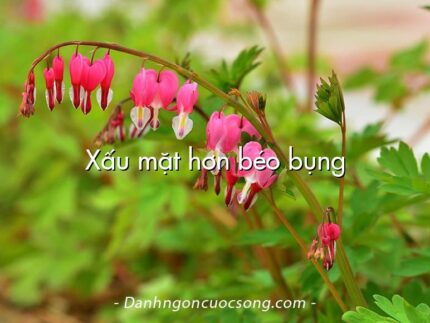Xấu mặt hơn béo bụng