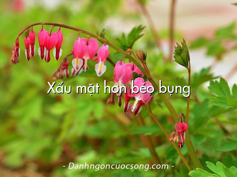 Xấu mặt hơn béo bụng