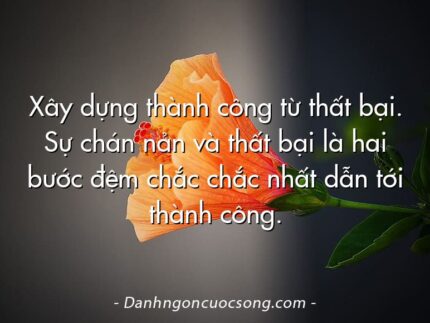 Xây dựng thành công từ thất bại. Sự chán nản và thất bại là hai bước đệm chắc chắc nhất dẫn tới thành công.