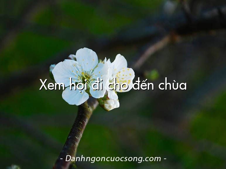 Xem hội đi cho đến chùa