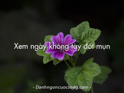 Xem ngày không tày đốt mụn