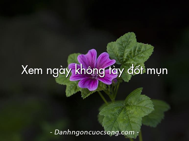 Xem ngày không tày đốt mụn