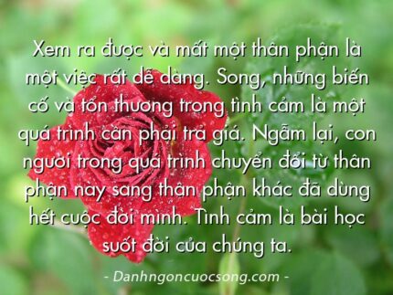 Xem ra được và mất một thân phận là một việc rất dễ dàng. Song, những biến cố và tổn thương trong tình cảm là một quá trình cần phải trả giá. Ngẫm lại, con người trong quá trình chuyển đổi từ thân phận này sang thân phận khác đã dùng hết cuộc đời mình. Tình cảm là bài học suốt đời của chúng ta.