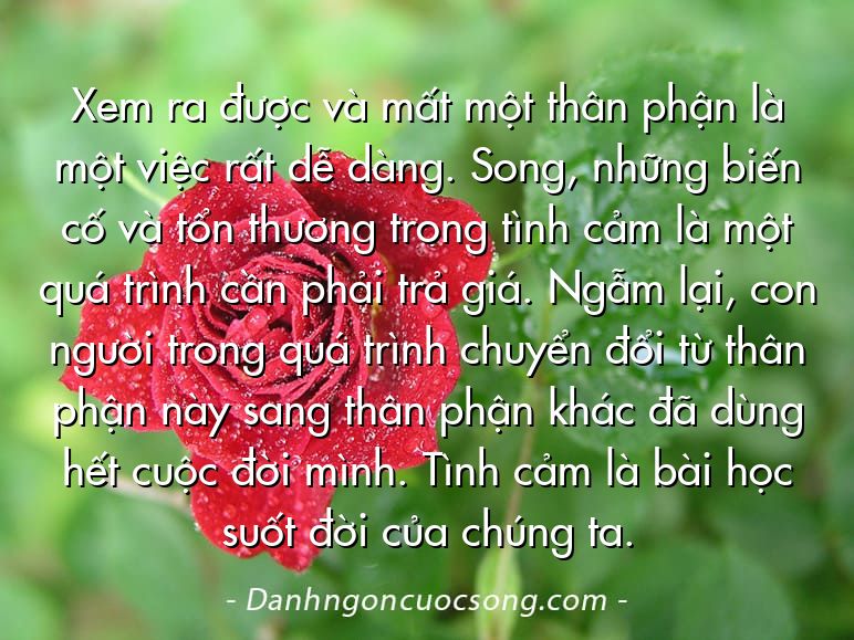 Xem ra được và mất một thân phận là một việc rất dễ dàng. Song, những biến cố và tổn thương trong tình cảm là một quá trình cần phải trả giá. Ngẫm lại, con người trong quá trình chuyển đổi từ thân phận này sang thân phận khác đã dùng hết cuộc đời mình. Tình cảm là bài học suốt đời của chúng ta.