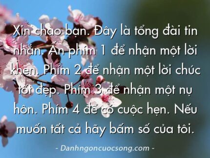 Xin chào bạn. Đây là tổng đài tin nhắn. Ấn phím 1 để nhận một lời khen. Phím 2 để nhận một lời chúc tốt đẹp. Phím 3 để nhận một nụ hôn. Phím 4 để có cuộc hẹn. Nếu muốn tất cả hãy bấm số của tôi.