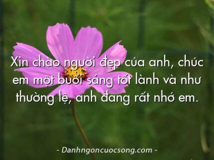 Xin chào người đẹp của anh, chúc em một buổi sáng tốt lành và như thường lệ, anh đang rất nhớ em.