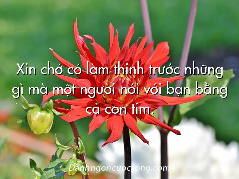 Xin chớ có làm thinh trước những gì mà một người nói với bạn bằng cả con tim.