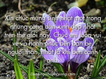 Xin chúc mừng sinh nhật một trong những công dân xinh đẹp nhất trên thế giới này. Chúc em luôn vui vẻ và hạnh phúc bên bạn bè, người thân, nhất là khi bên cạnh anh.