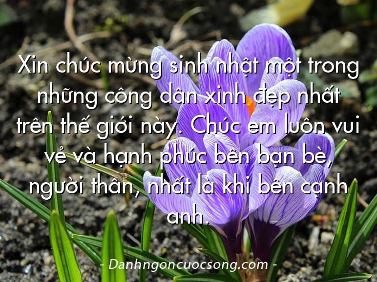 Xin chúc mừng sinh nhật một trong những công dân xinh đẹp nhất trên thế giới này. Chúc em luôn vui vẻ và hạnh phúc bên bạn bè, người thân, nhất là khi bên cạnh anh.