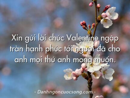 Xin gửi lời chúc Valentine ngập tràn hạnh phúc tới người đã cho anh mọi thứ anh mong muốn.