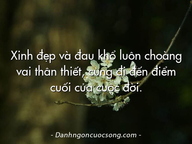 Xinh đẹp và đau khổ luôn choàng vai thân thiết, cùng đi đến điểm cuối của cuộc đời.