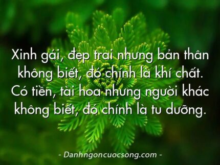 Xinh gái, đẹp trai nhưng bản thân không biết, đó chính là khí chất. Có tiền, tài hoa nhưng người khác không biết, đó chính là tu dưỡng.