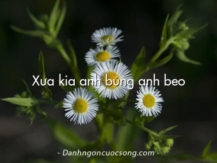 Xưa kia anh bủng anh beo