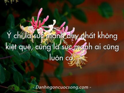Ý chí là sức mạnh duy nhất không kiệt quệ, cũng là sức mạnh ai cũng luôn có.