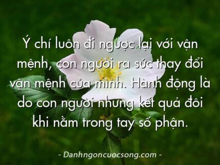Ý chí luôn đi ngược lại với vận mệnh, con người ra sức thay đổi vận mệnh của mình. Hành động là do con người nhưng kết quả đôi khi nằm trong tay số phận.