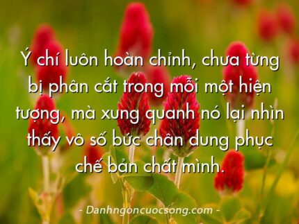 Ý chí luôn hoàn chỉnh, chưa từng bị phân cắt trong mỗi một hiện tượng, mà xung quanh nó lại nhìn thấy vô số bức chân dung phục chế bản chất mình.