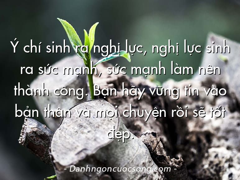 Ý chí sinh ra nghị lực, nghị lực sinh ra sức mạnh, sức mạnh làm nên thành công. Bạn hãy vững tin vào bản thân và mọi chuyện rồi sẽ tốt đẹp.